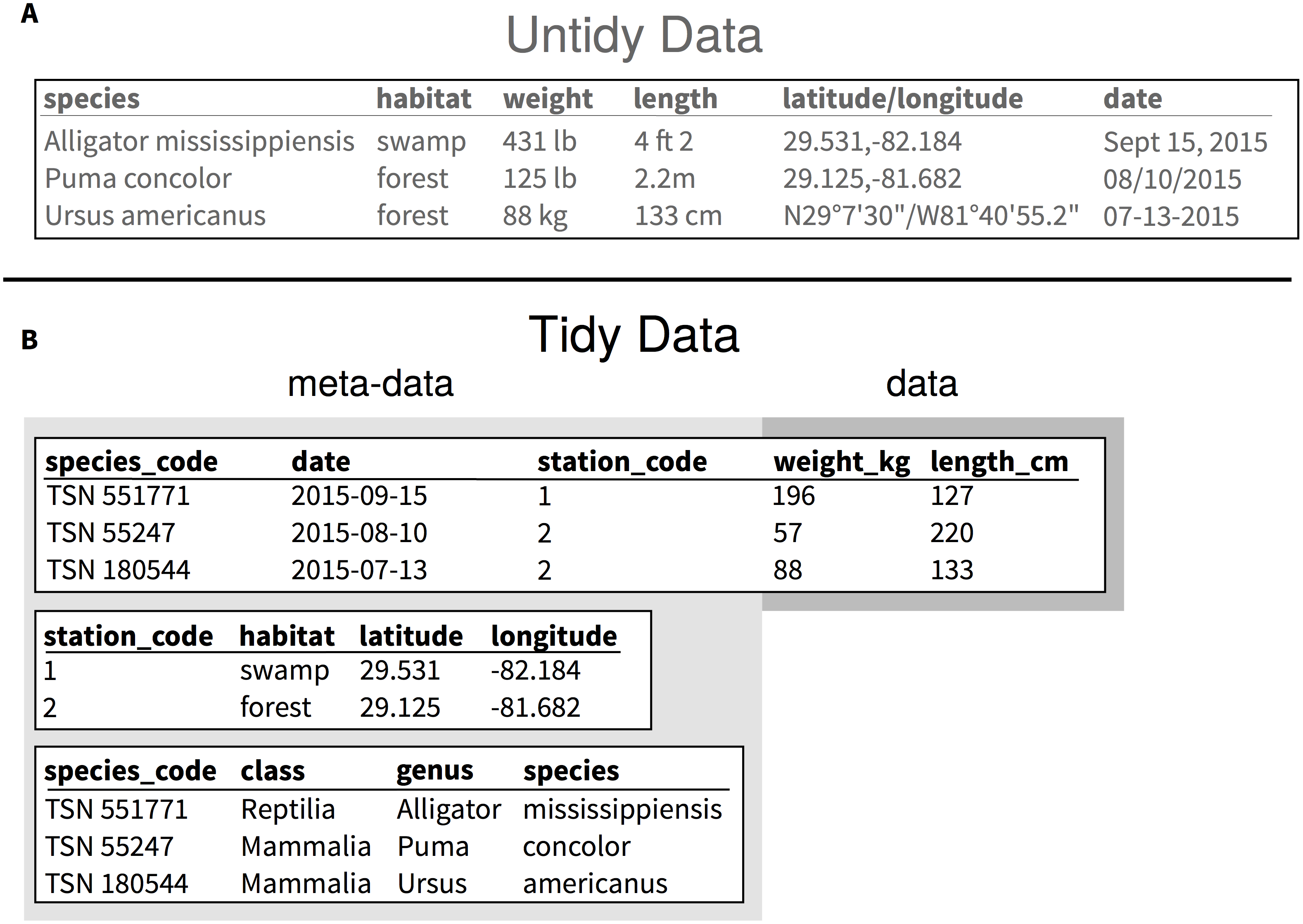 Example 1, untidy versus tidy data