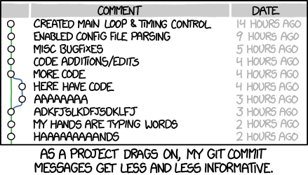 Example 4, software versioning