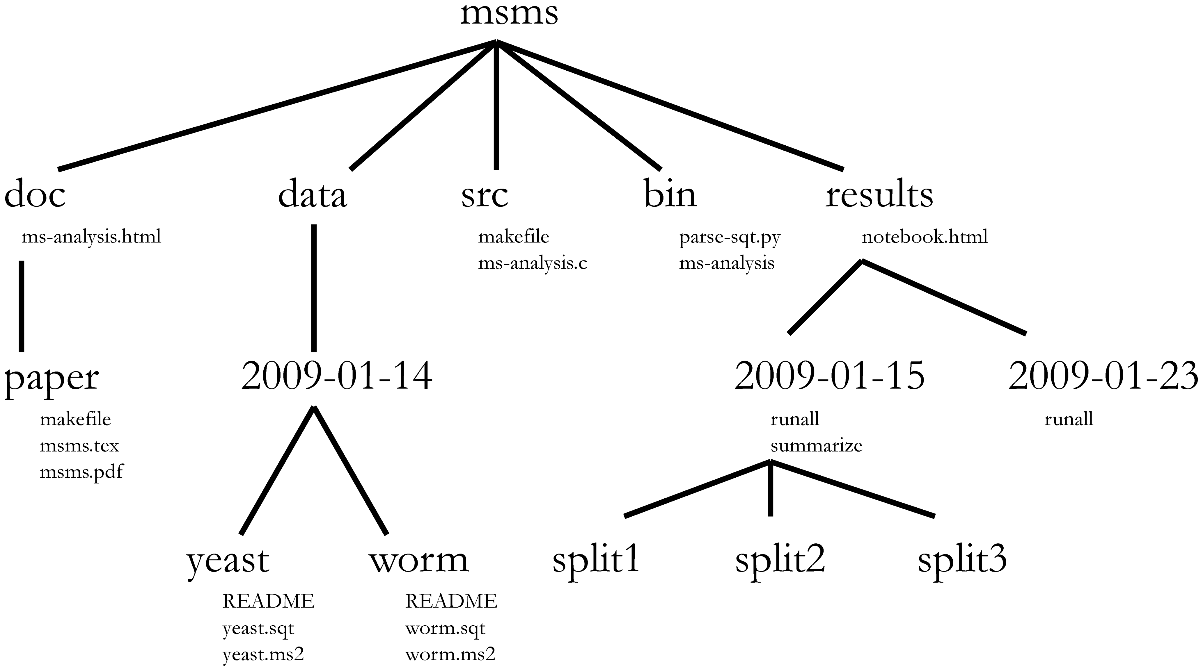 Example 1, project organisation